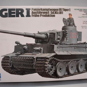 Tiger1 2.JPG